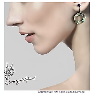 Beautiful Abalone Earrings To Complete Your Look
