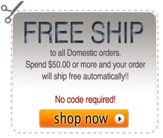 free shipping to US or Canada